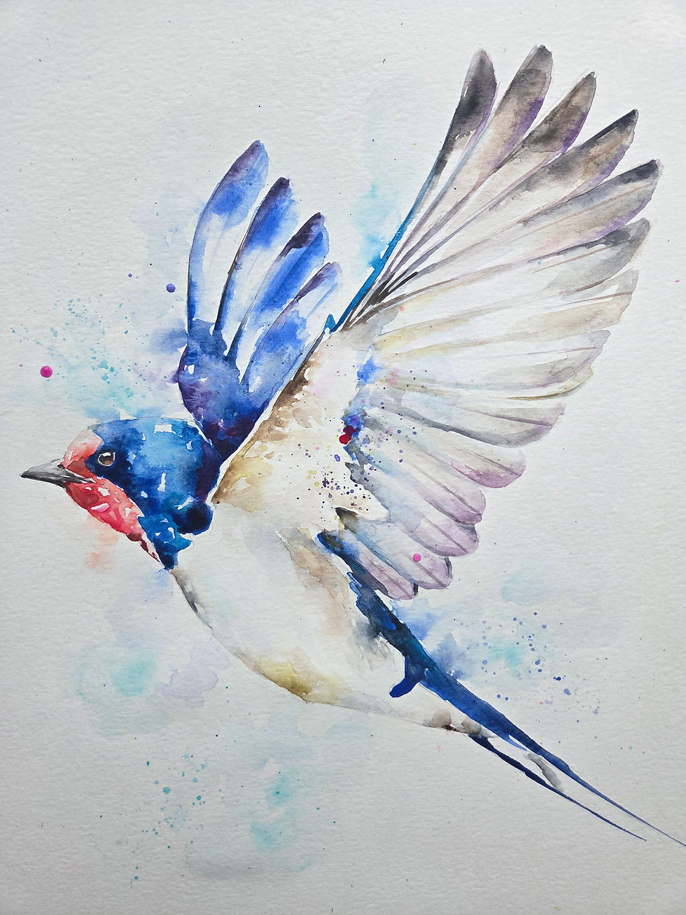 Thumbnail: Large Original Signed Certificated Watercolour Painting of A Swallow