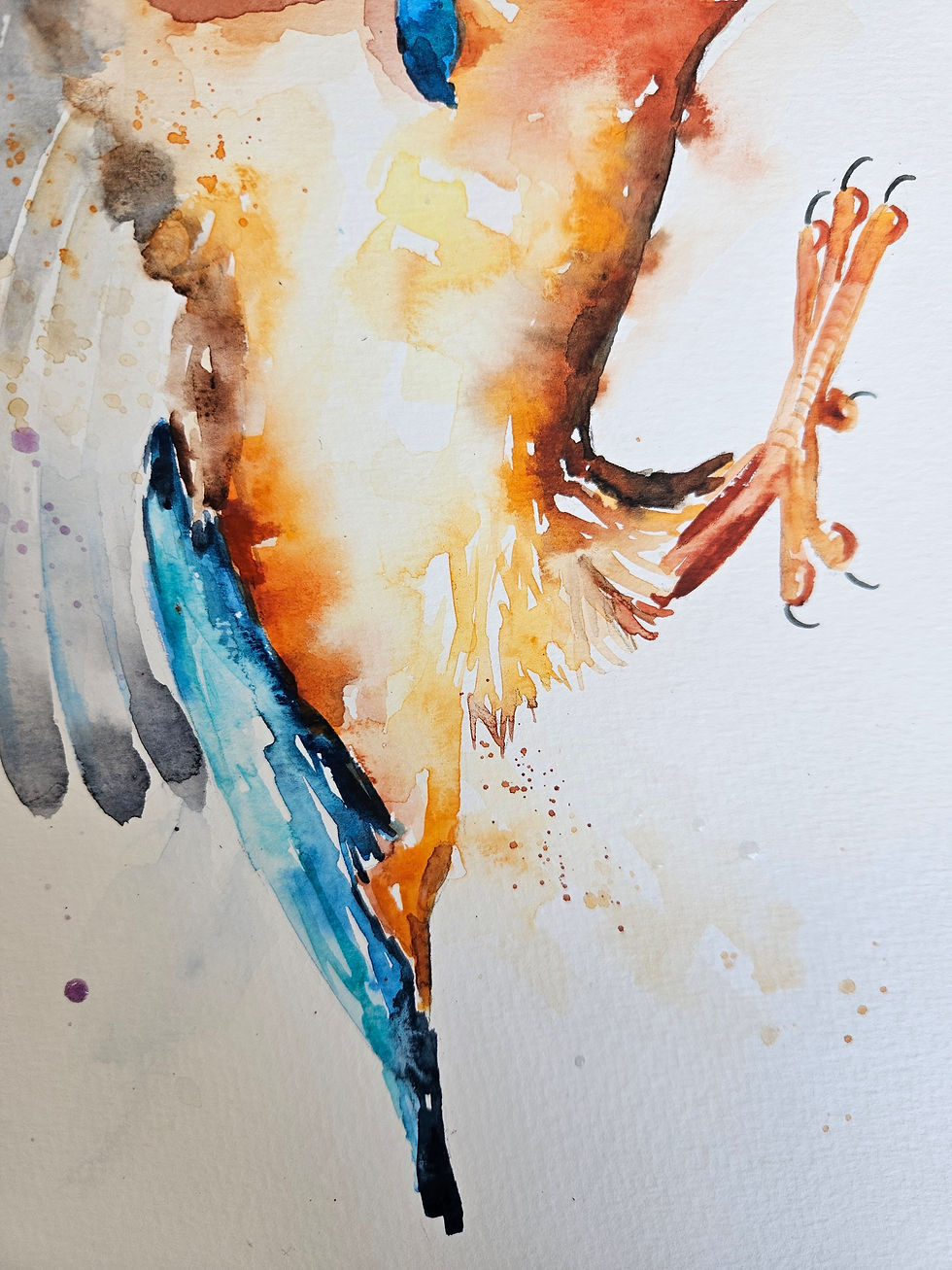 Thumbnail: Large Original Signed & Certificated Watercolour Painting of a Kingfishe