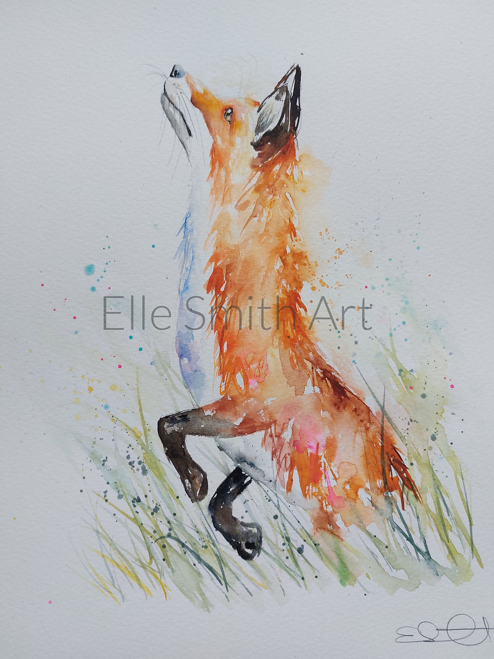 Thumbnail: Large Original Signed & Certificated Watercolour Painting of a Fox