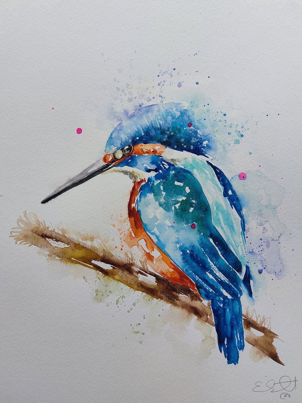 Thumbnail: Large Original Signed & Certificated Watercolour Painting of a Kingfisher