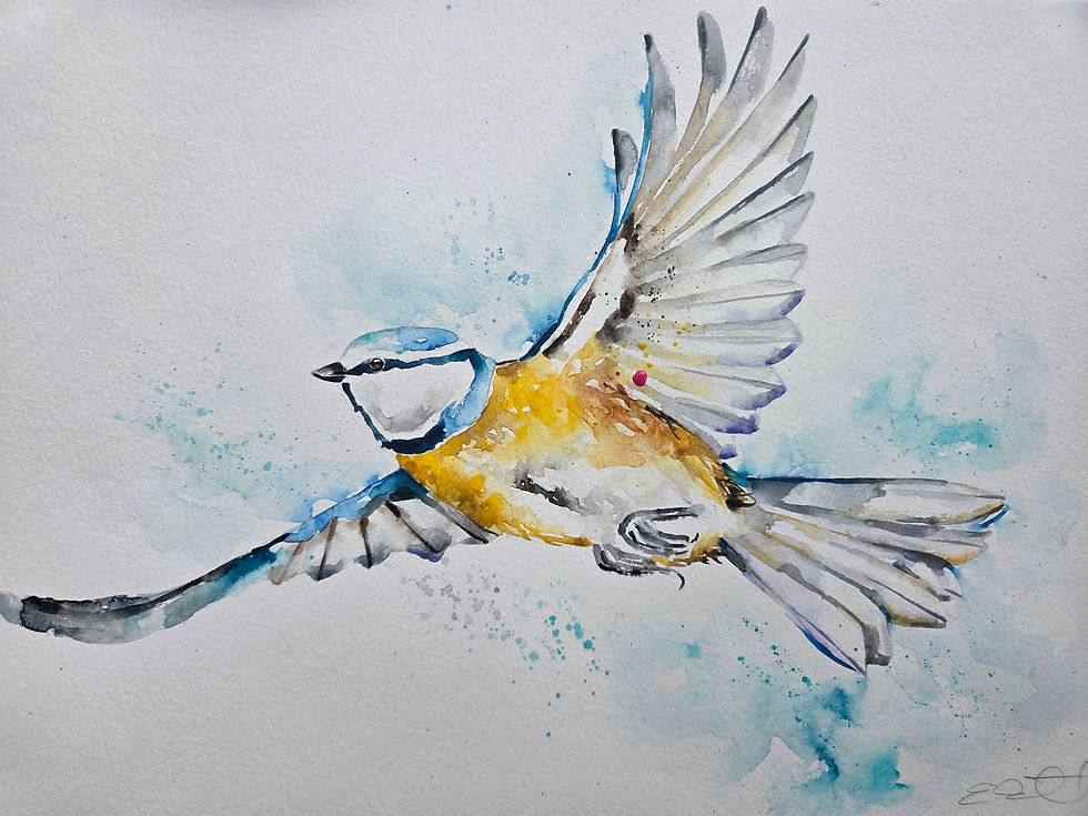 Thumbnail: Large Original Signed & Certificated Watercolour Painting of A Blue Tit 