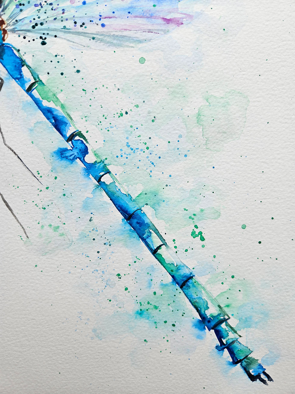Thumbnail: original watercolour art painting of a dragonfly by Elle Smith Art