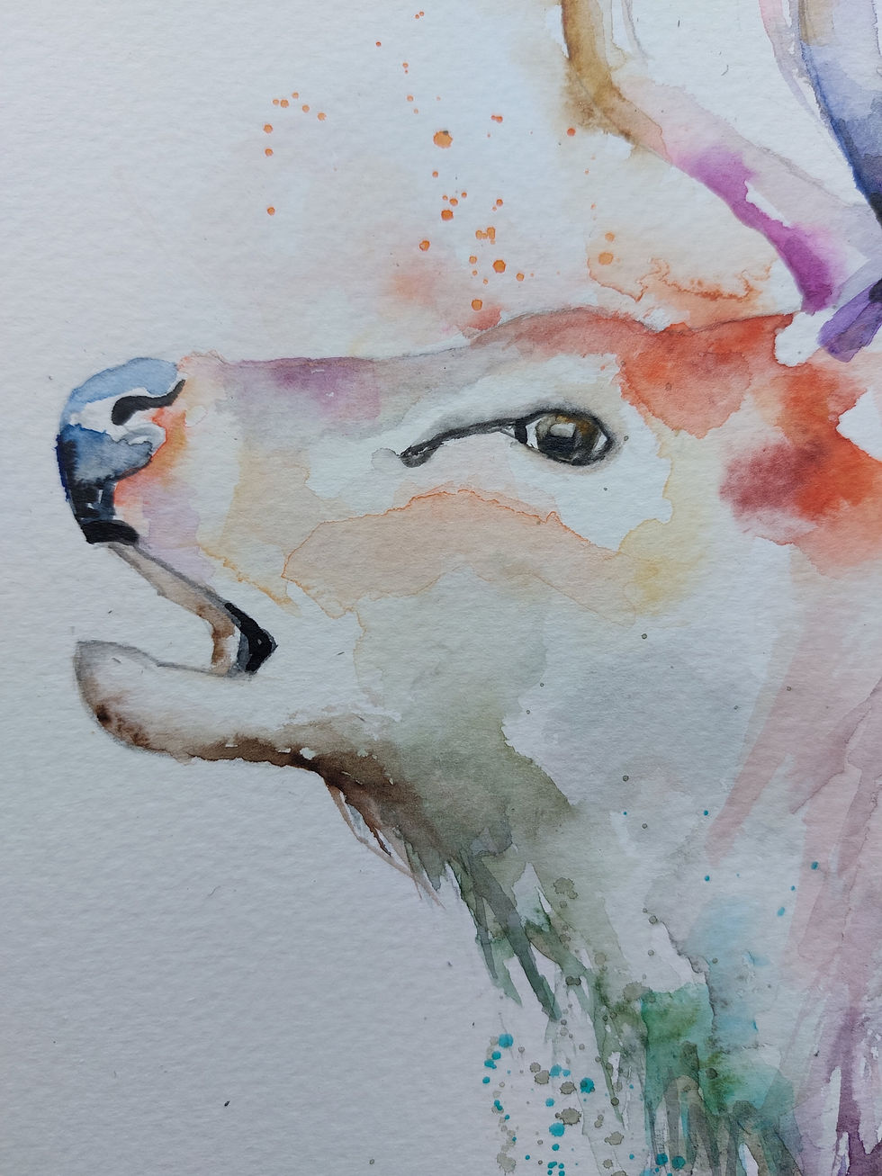 Thumbnail: original watercolour art painting of a Stag by Elle Smith