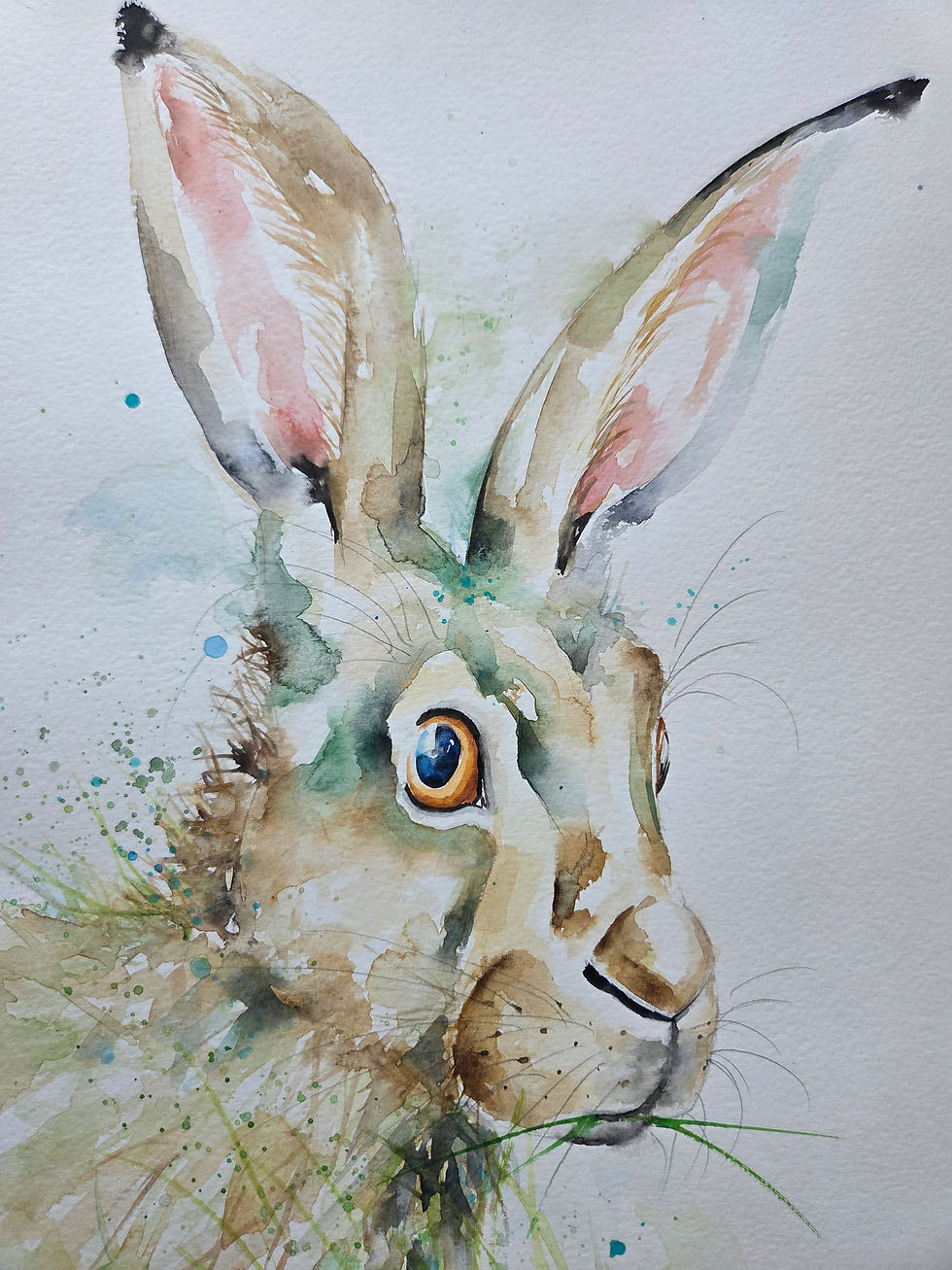 Thumbnail: Original Signed & Certificated Watercolour Painting of a Hare