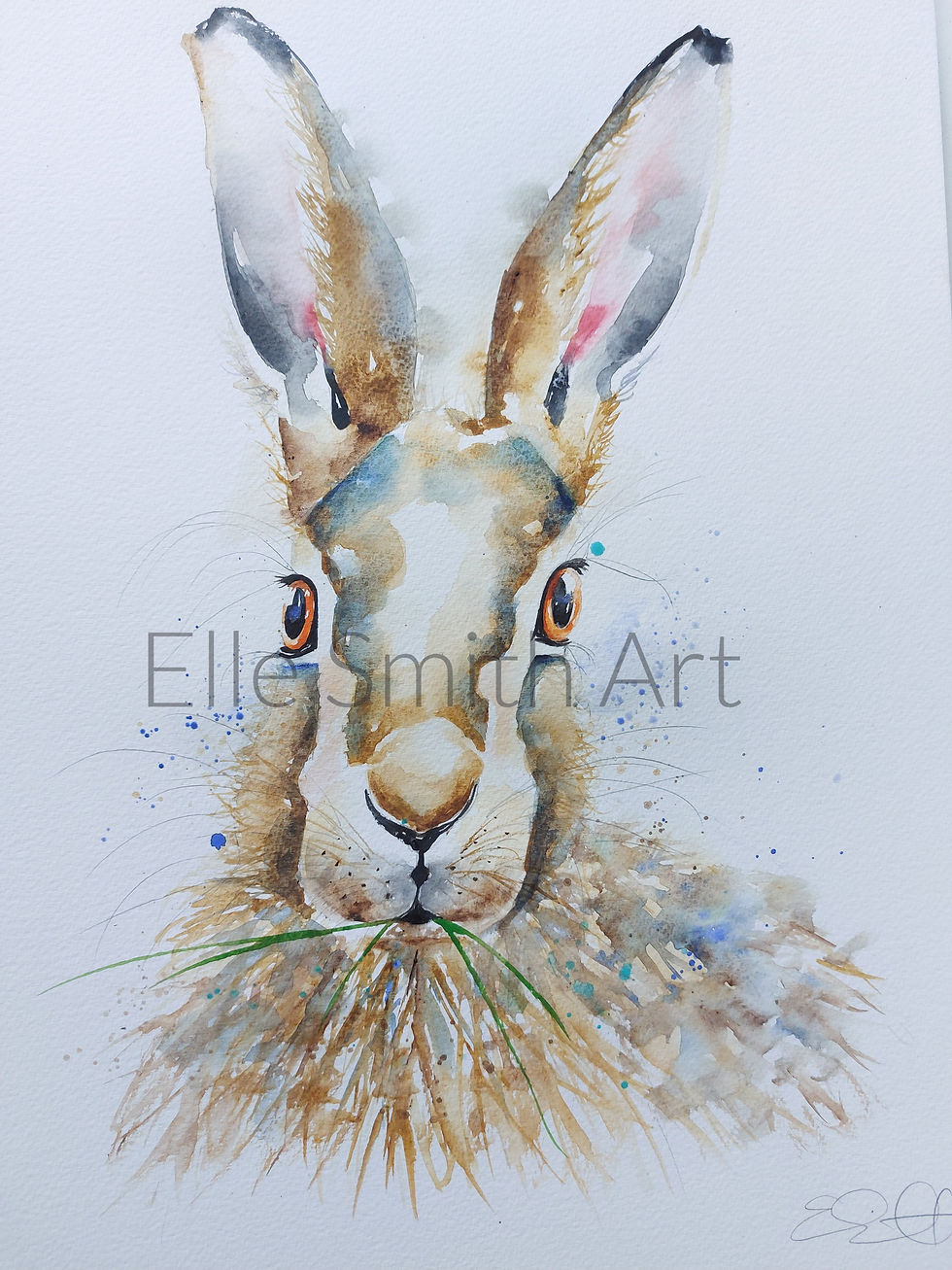 Thumbnail: original watercolour art painting of a Hare face by Elle Smith