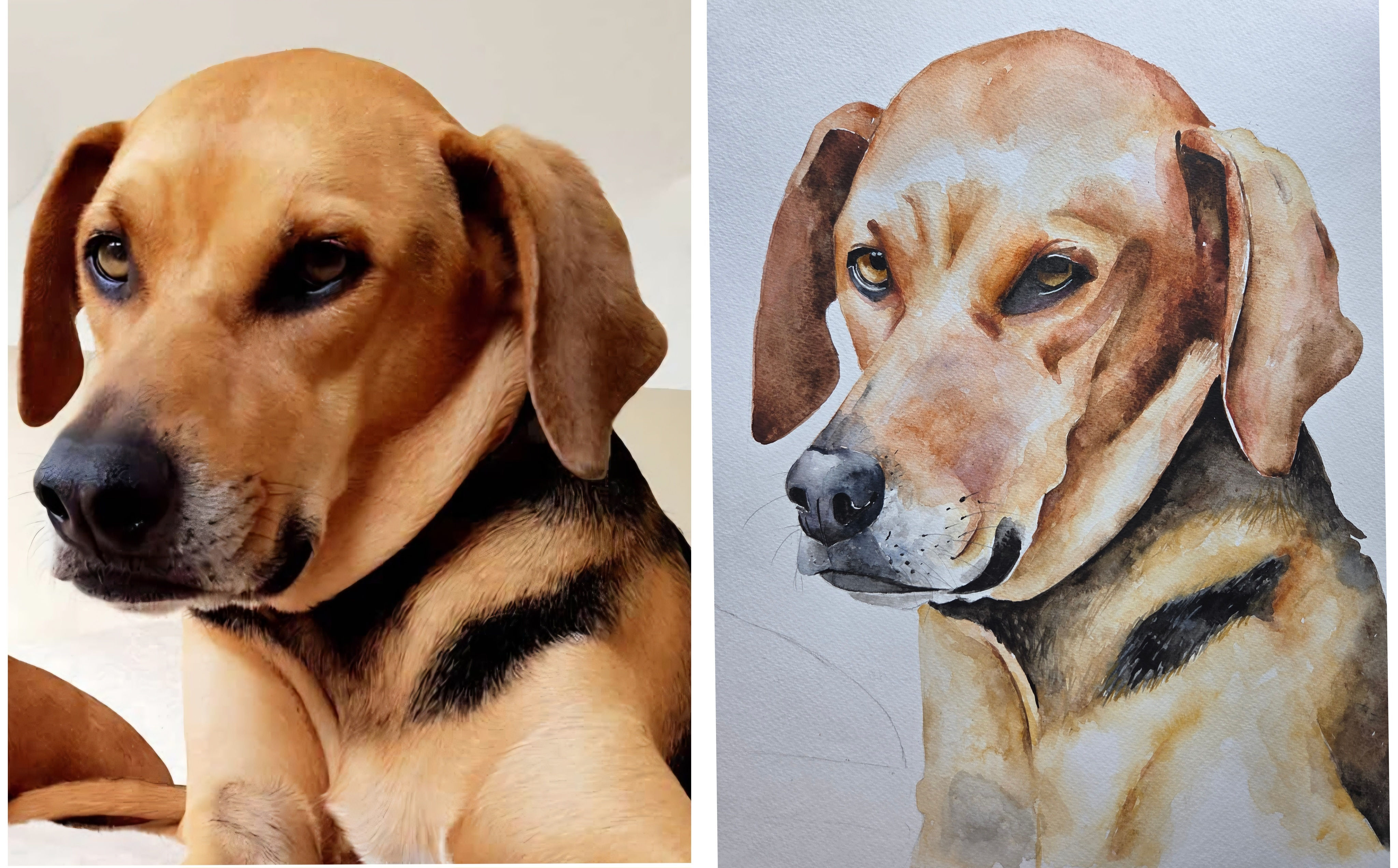 Personalised pet commission, original watercolour painting.