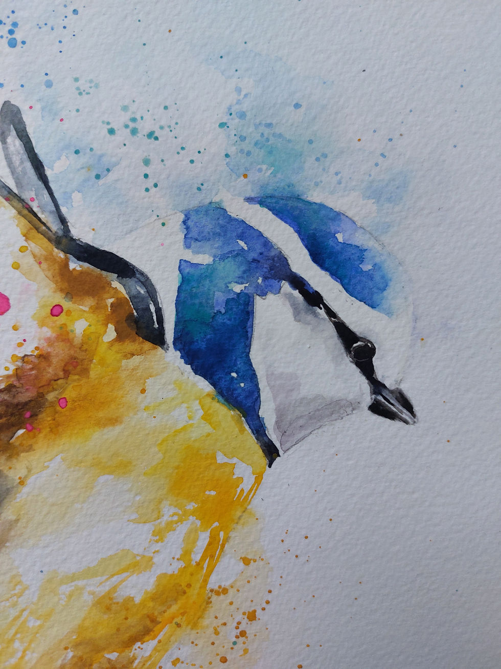 Thumbnail: Large Original Signed & Certificated Watercolour Painting of A Blue Tit Bird