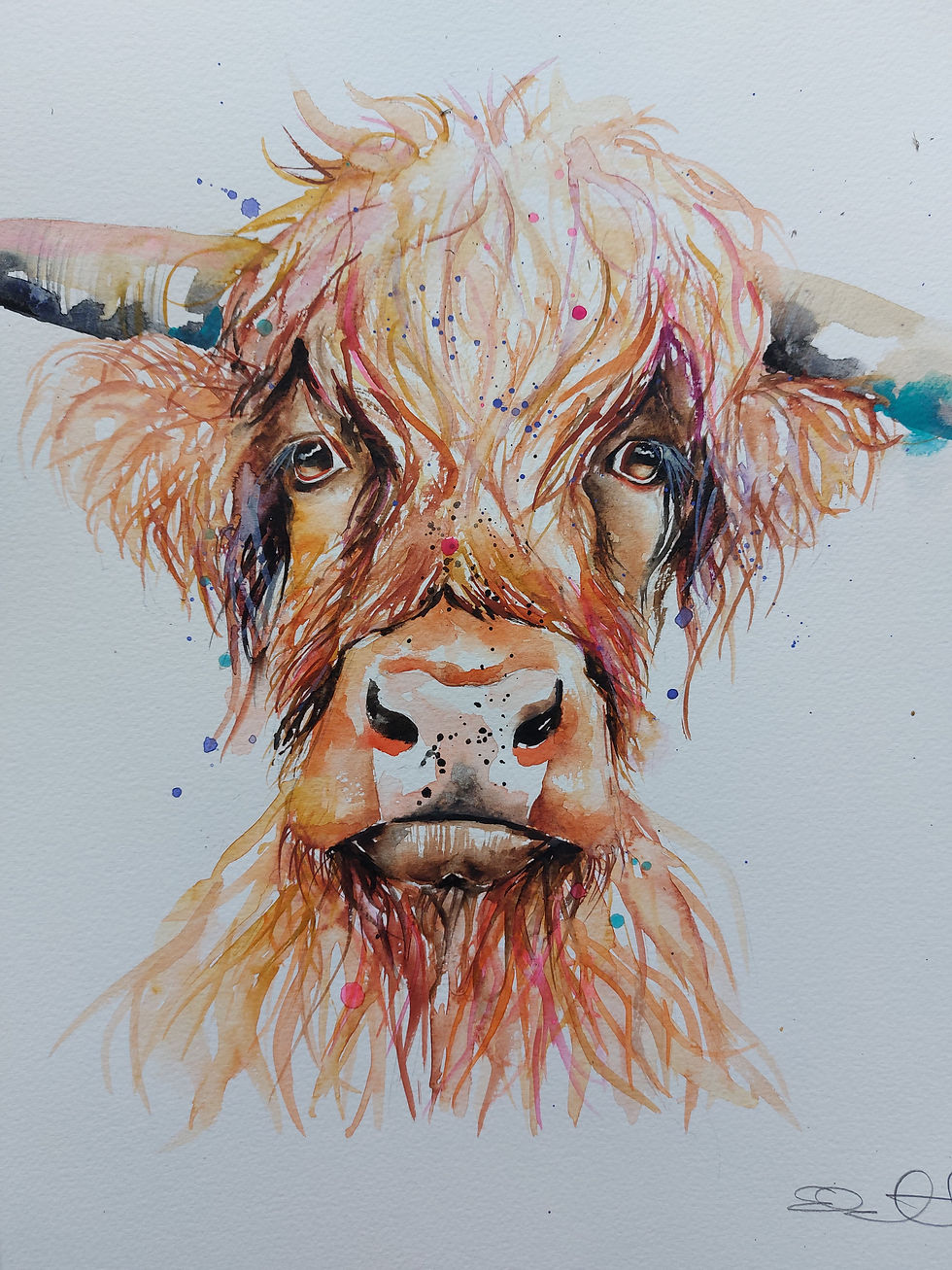 Thumbnail: Large Original Signed & Certificated Watercolour Painting of a Highland Cow