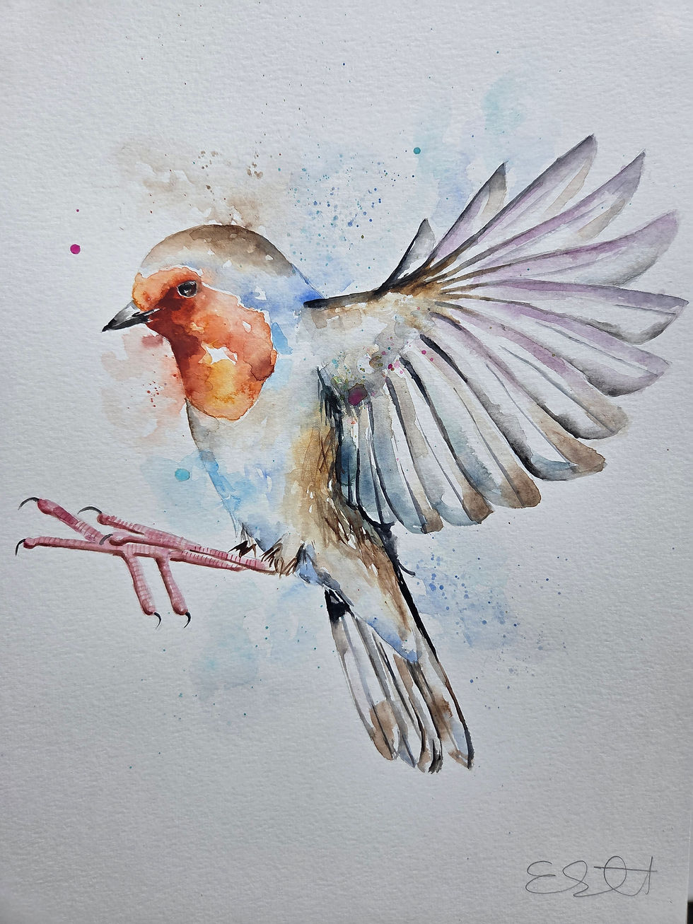 Thumbnail: Large Original Signed & Certificated Watercolour Painting of a Robin b