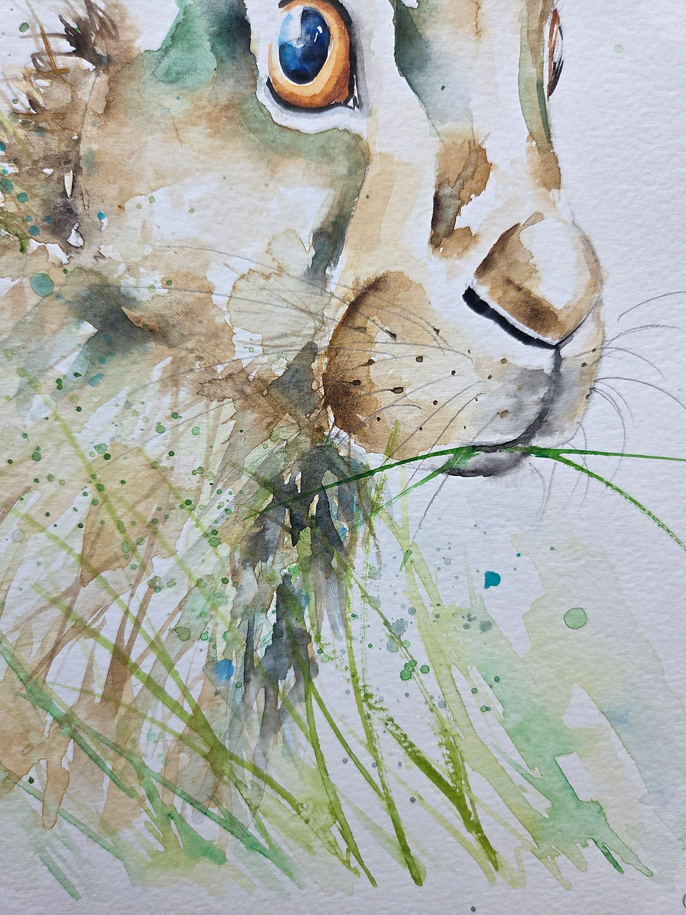 Thumbnail: Original Signed & Certificated Watercolour Painting of a Hare