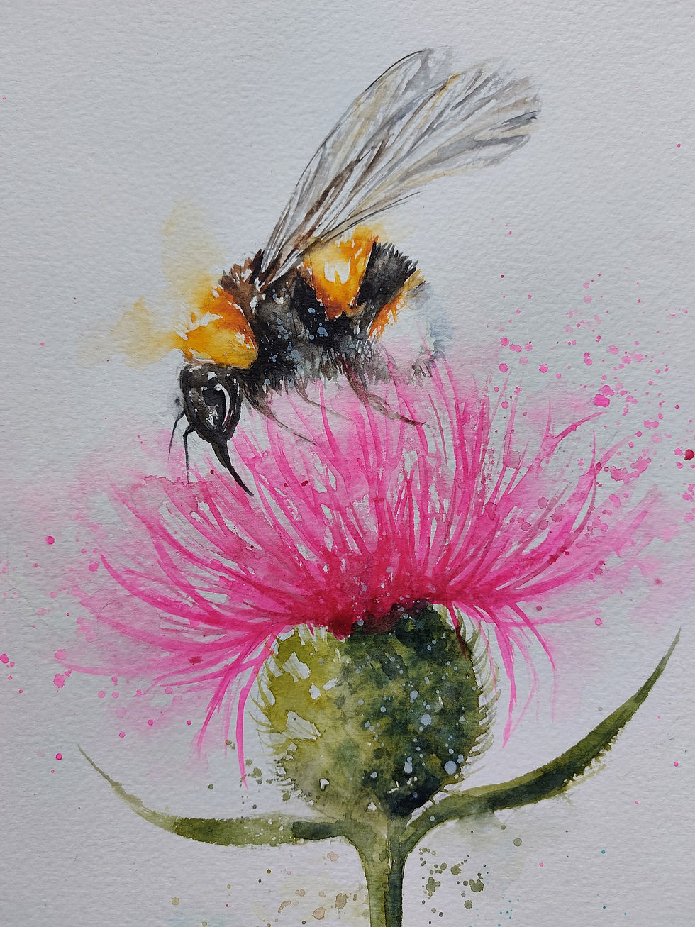 Thumbnail: Large Original Signed & Certificated Watercolour Painting of a Bee &Thistle