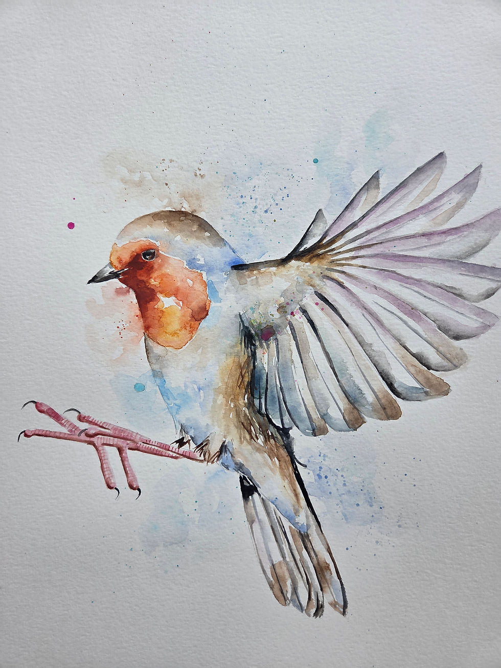Thumbnail: Large Original Signed & Certificated Watercolour Painting of a Robin b