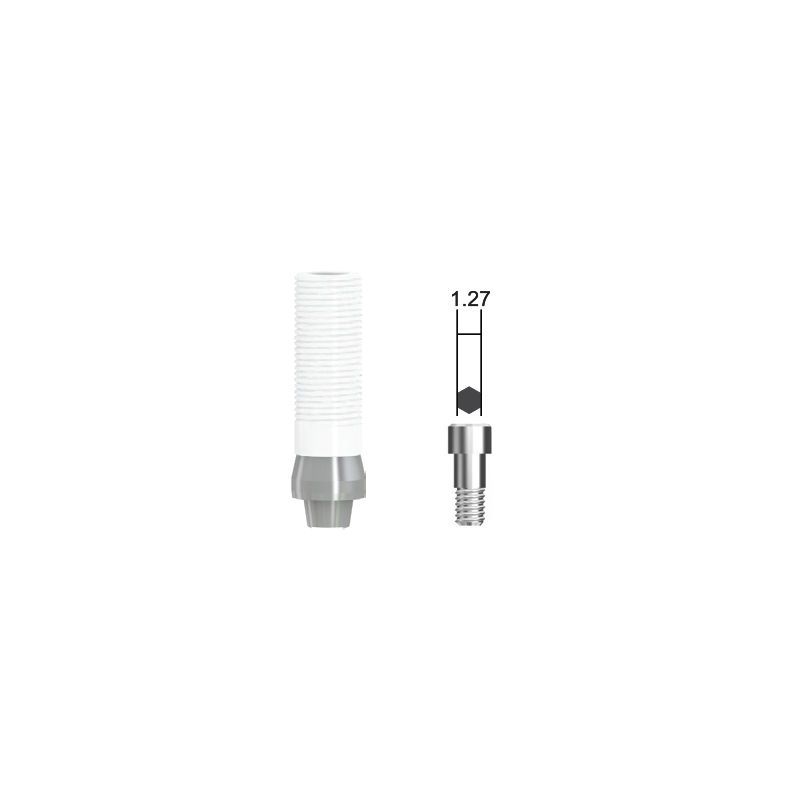 Thumbnail: EBI CCM Abutment