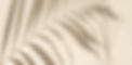Screen Shot 2024-09-17 at 10.41.18 AM.png
