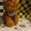 Thumbnail: Adoptive Plushies Cat/Dog