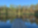 Loodus_Linajarv_IMG_0144.jpg