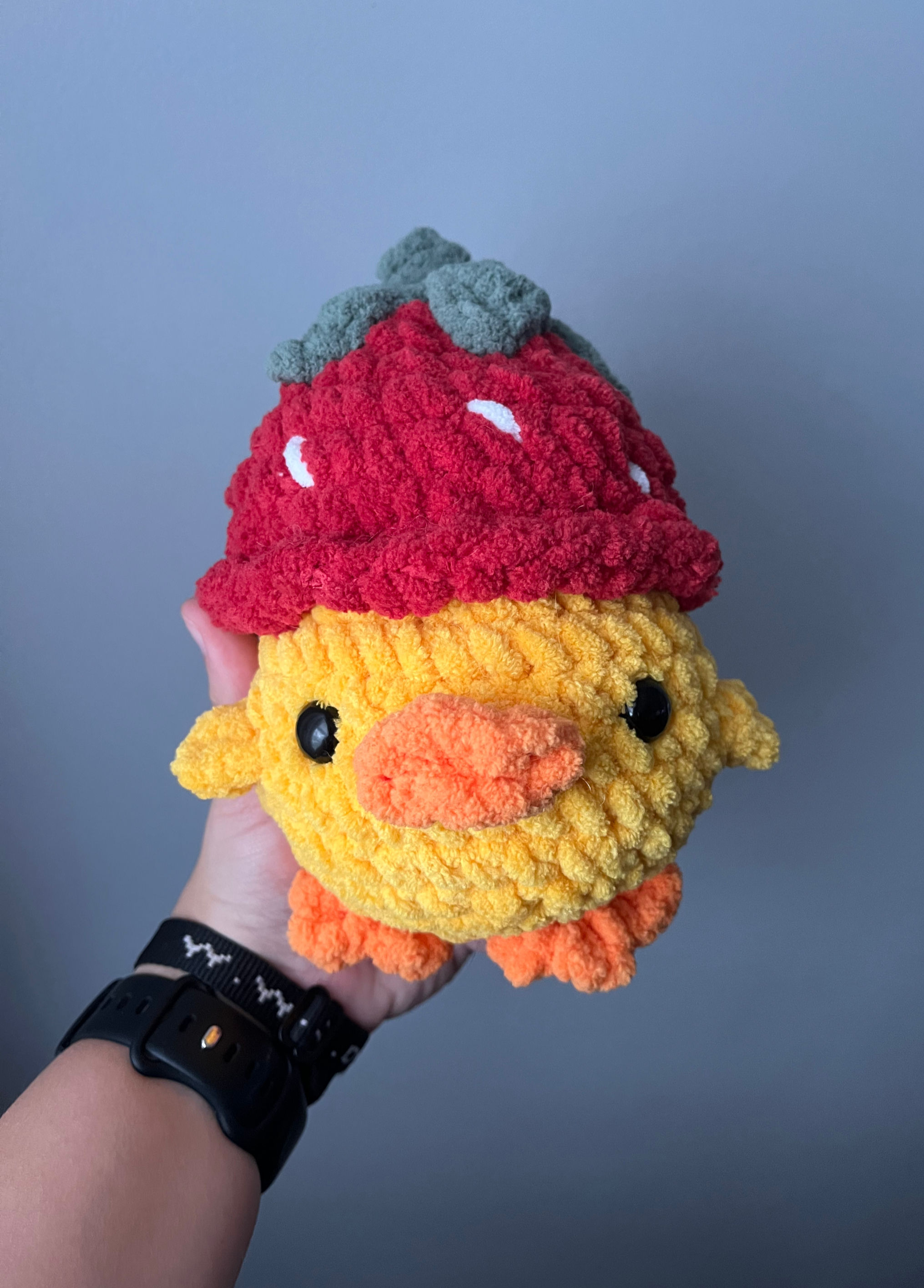 Duck with a Strawberry Hat