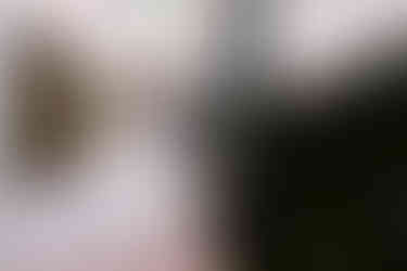 Indianapolis Wedding Photography