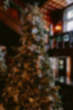 Large Christmas tree decorated with white lights beside the Laurel Hall staircase