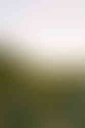 Fall family photoshoot Indianapolis