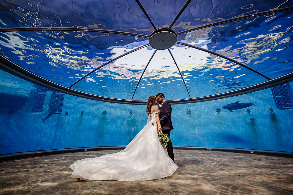 Indianapolis Zoo Wedding Photography