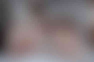 Indianapolis Zoo Wedding Photography