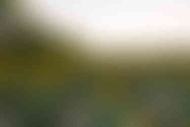 Fall family photoshoot Indianapolis