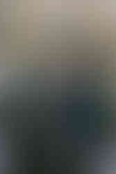 Indianapolis Engagement Photography