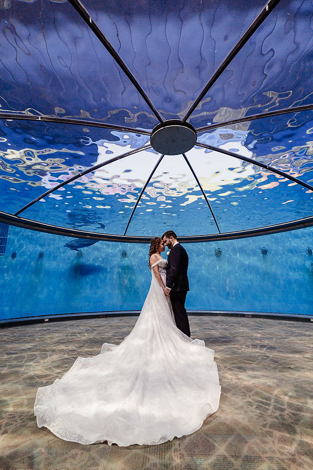 Indianapolis Zoo Wedding Photography