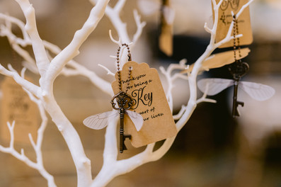 Indianapolis Wedding Photography