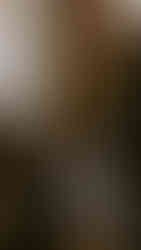 Indianapolis Wedding Photography