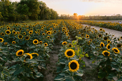 Fall family photoshoot Indianapolis
