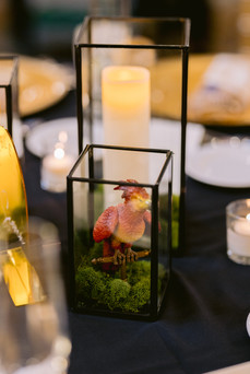 Indianapolis Wedding Photography