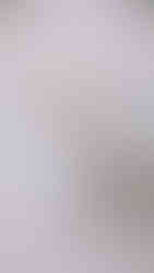 Bridal details as photographed by Rogue Image Photo