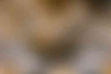 Indianapolis Wedding Photography