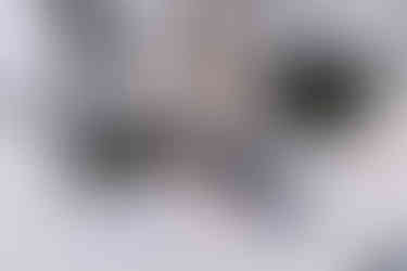 Indianapolis Wedding Photography