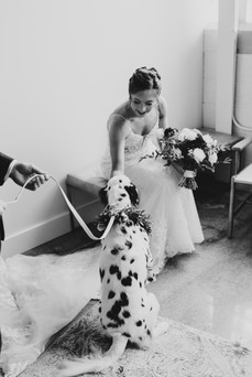 Indianapolis Micro-Wedding Photography