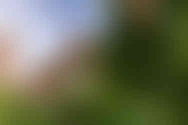 Indianapolis Wedding Photography