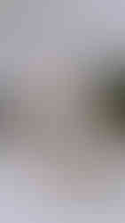 Bride's Details on her wedding day