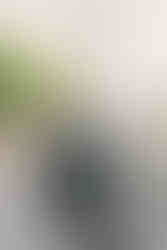 Indianapolis Engagement Photography