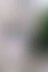 Laurel Hall Indianapolis Wedding Photography