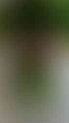 Classic bridal portrait session at The Conrad Indianapolis.