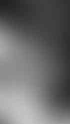 Bridesmaids laughing and celebrating on the party bus before the ceremony, captured by a wedding photographer near me.