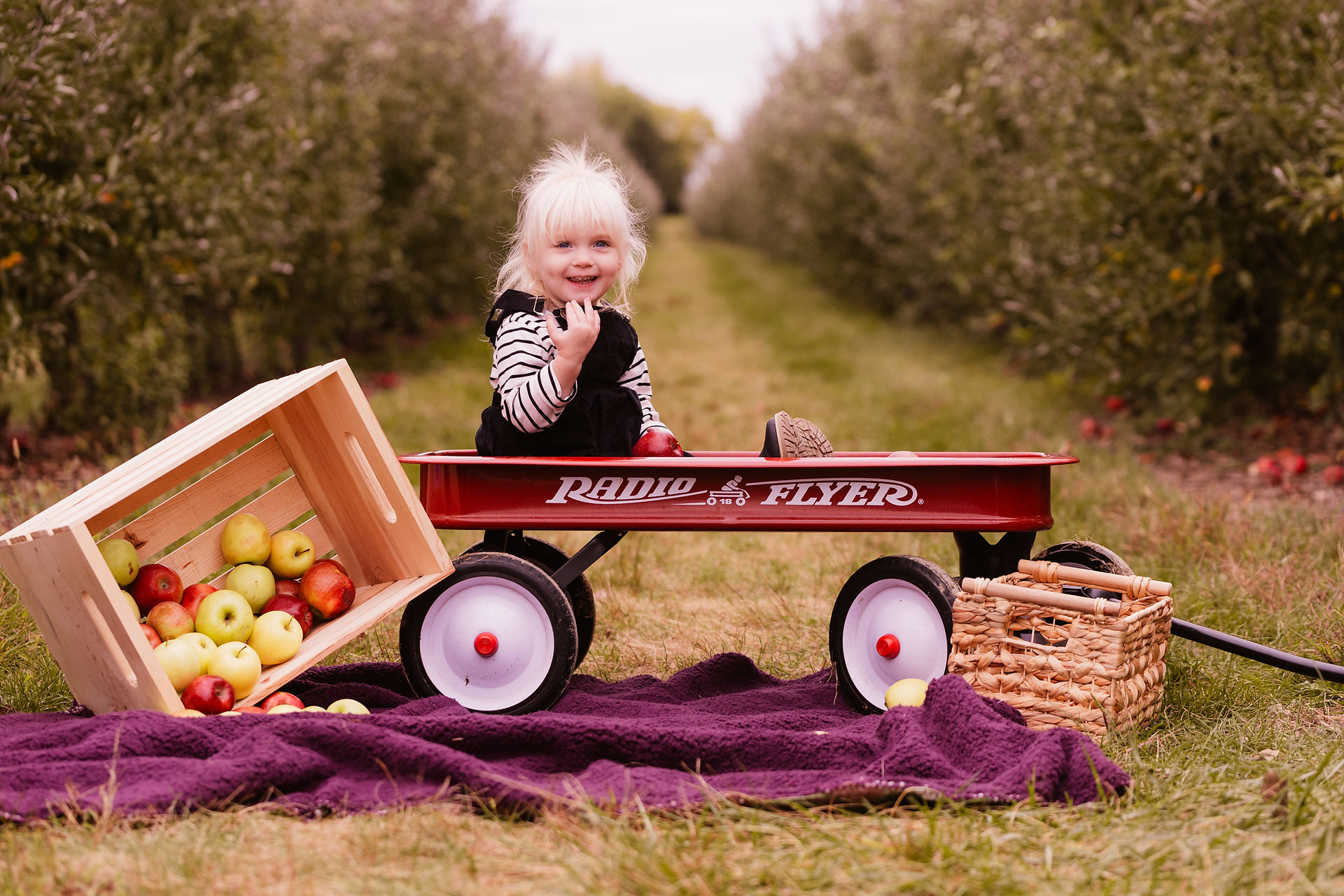 Fall Family Photos At Tuttle Orchard