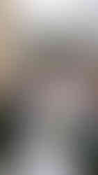 A wedding party celebrating with the newly weds at Laurel Hall