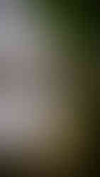 Bride's Details on her wedding day