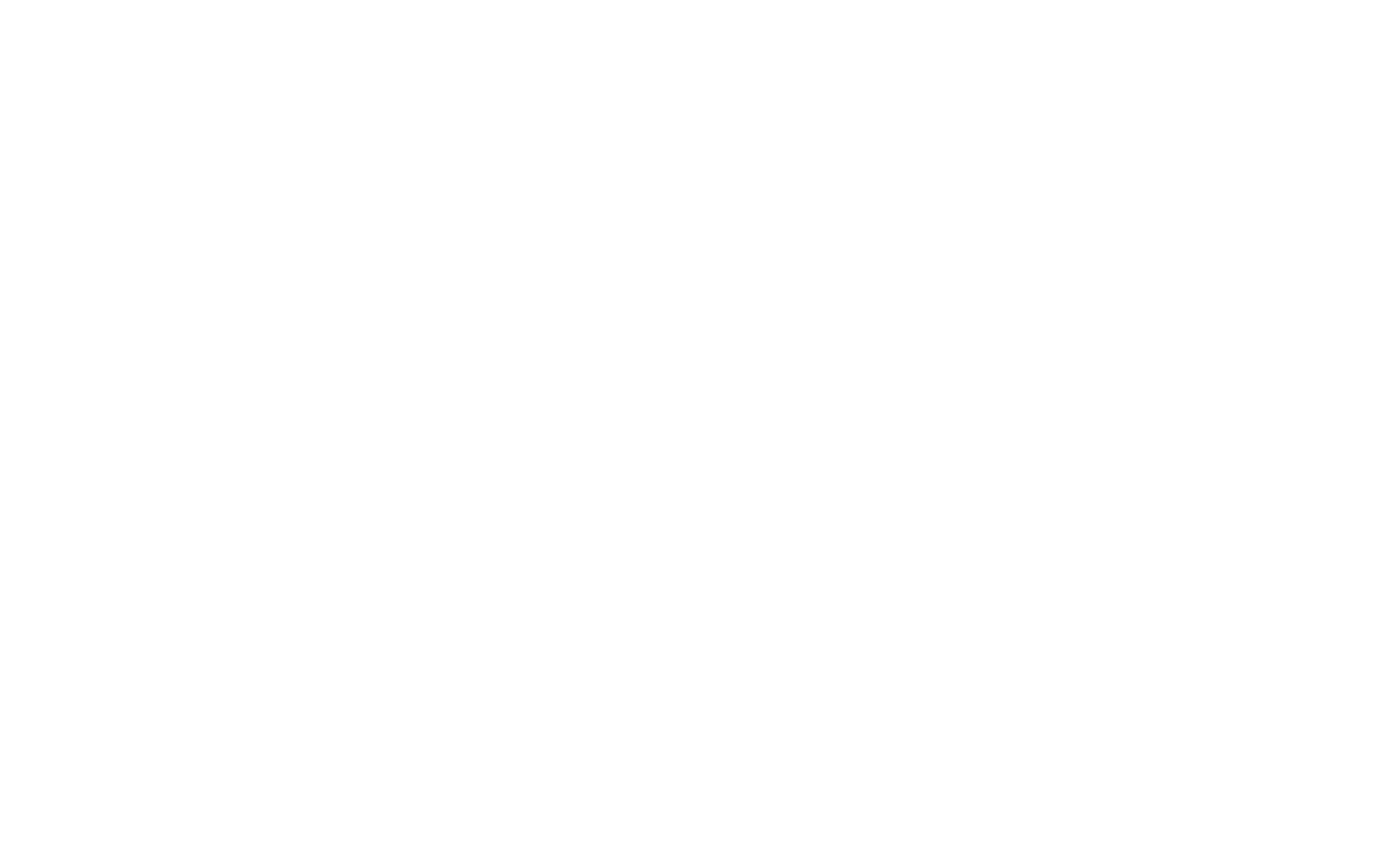 VPG Holdings - White - No Background.png