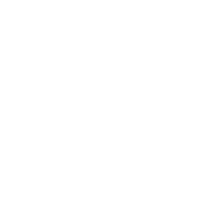 wired-outline-19-magnifier-zoom-search-hover-spin.png