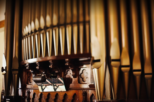 organ pic.PNG