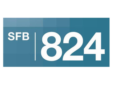德国协同研究中心SFB824/癌症治疗选择、监测和个体化成像